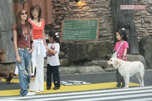 2005年、スクールのお迎えに来た工藤静香と実母、CocomiとKoki,の親子3世代ショット