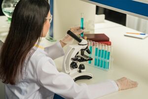 写真はイメージです