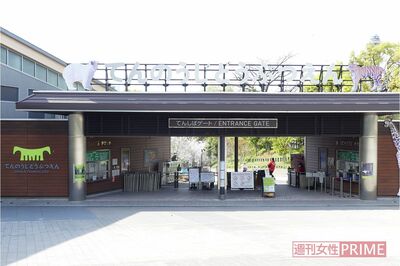 企画展『戦時中の動物園～私たちに今、できること～』は8月28日まで開催されている