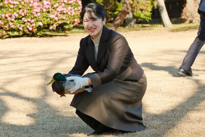 愛子さま、初の単独“外交団鴨場接待”で「大丈夫です？」まさかのハプニング発生に戸惑いも、心温まる国際…