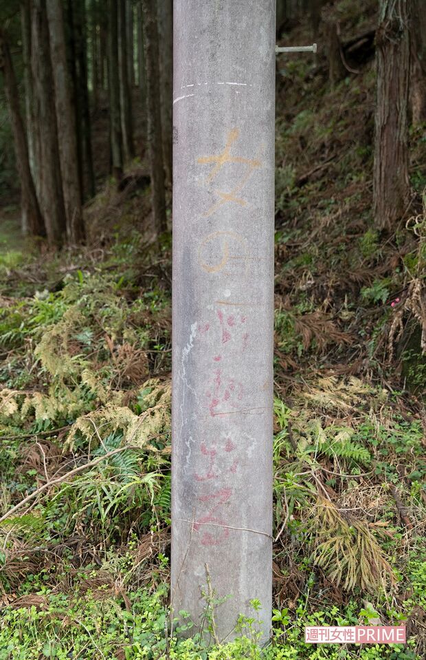 消えかけているがトンネル手前の電柱に『幽霊出る』と書かれている