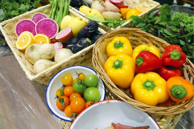 ※写真はイメージです