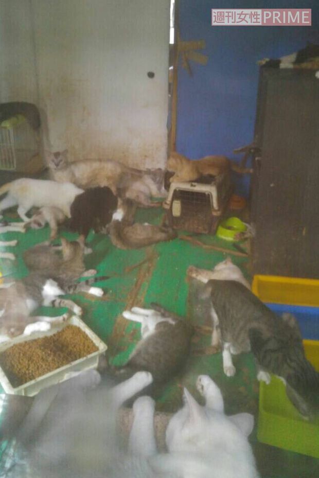 引っ越して2か月くらいの足利市の自宅（関係者提供）