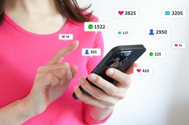 写真はイメージです