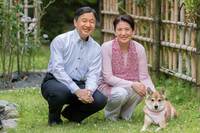 雅子さま、流産と「適応障害」15年治療を支えた、陛下との愛のコミュニケーション