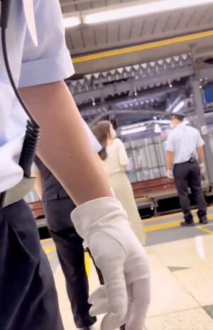 拡散された動画（Twitterより）