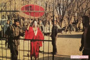 1975年、アフガニスタンのカブールではパフォーマンスの際に連行された。警察署長と面会した後、1時間ほどたらい回しにされ釈放