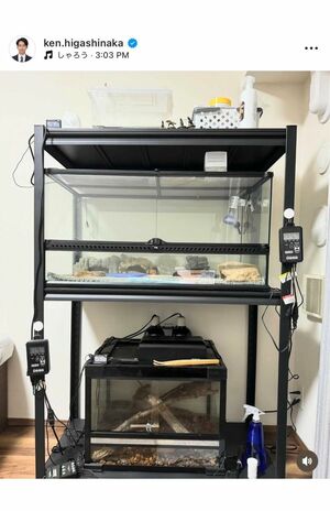 自宅には爬虫類コーナーがあるという（東中健アナウンサーのインスタグラムより）