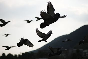 ※画像はイメージです