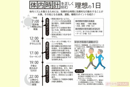 体内時計を正しく刻む「理想の1日」