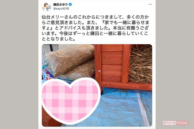里親に預ける宣言から16時間後、一転して一緒に暮らしていくことを報告（ツイッターより）