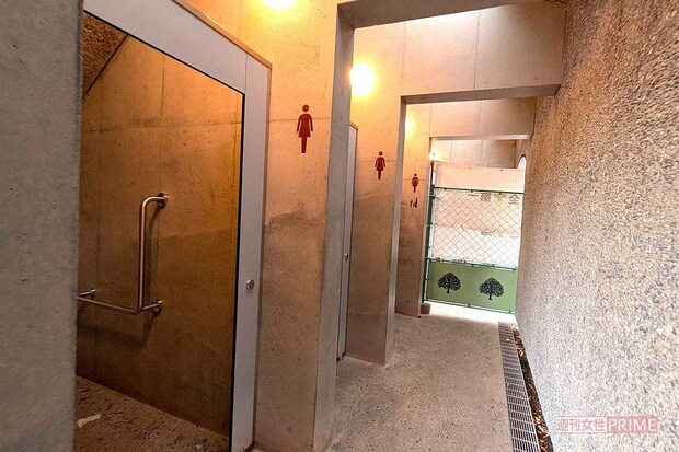 問題になっている上野公園の「仕切りなしトイレ」女性用トイレ側　撮影／編集部