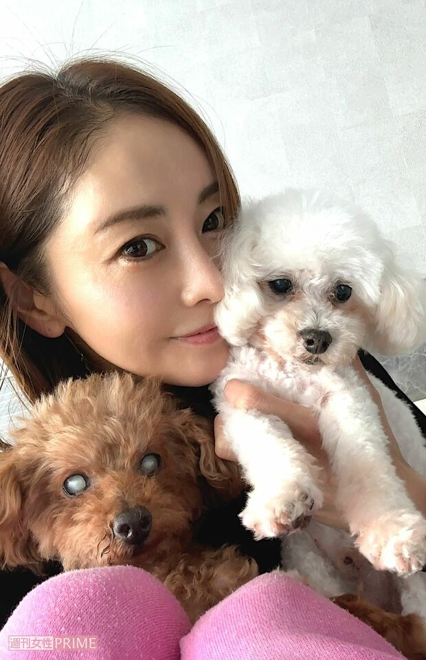 支えとなっている愛犬たちと