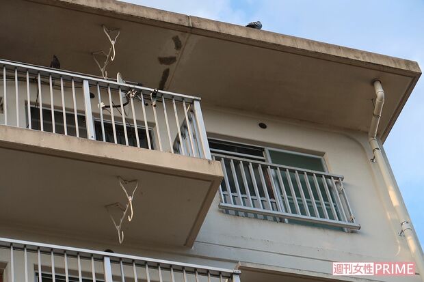 公営住宅にある常慶家の住まい。ゴミ出しなどでもご近所トラブルを抱えていた