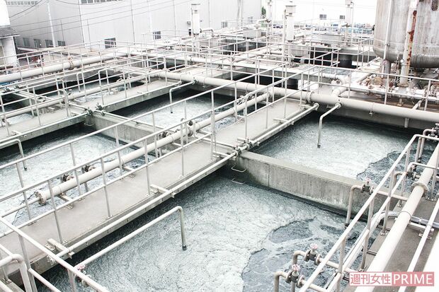 染色したタオルを洗う水はすべて浄化。浄化施設のバクテリアが綿くずと染料を分解する　撮影／伊藤和幸