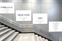 SNSで批判殺到の駅広告『ダヴ』がまさかのゼロ回答!「余計な知識をありがとう」知りたくなかった“美基準…