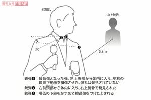 取材を基に『週刊女性』が作成した銃創の説明図 イラスト/スヤマミズホ