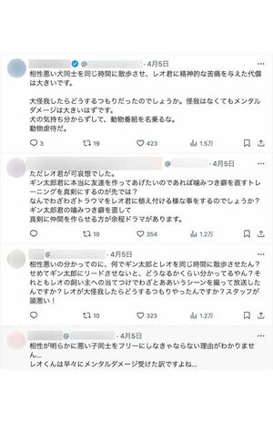 『坂上どうぶつ王国』の公式SNSには放送中から非難の声が多数上がっている（番組公式『X』より）