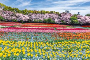 なばなの里［三重県］