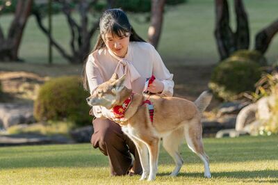 愛子さま「心が和む楽しい時間」自ら名付けた愛犬・由莉が天国へ、“いつも一緒”だった16年の日々
