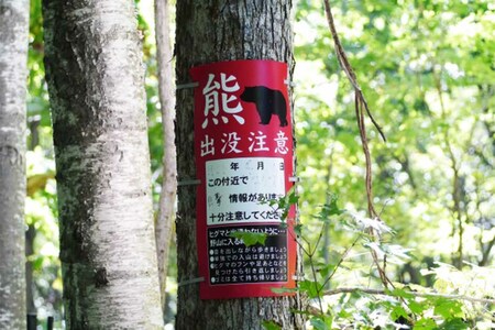 クマ出没注意の看板
