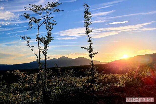 広大な敷地から見える景色