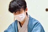 藤井聡太七段　提供／日本将棋連盟
