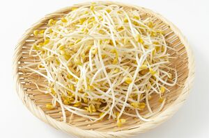 豆もやし イメージ