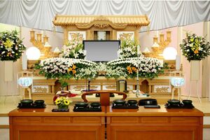 写真はイメージです