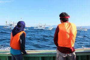 マグロを求め一本釣り漁船が連なっている光景に胸が高鳴る