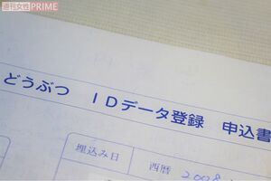 飼い主情報を書き込んだマイクロチップの装着も法改正で義務づけられる。捨て犬などの防止にはなるが、犬への健康被害が懸念されている