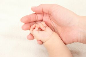 ※写真はイメージ