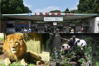 【上野動物園開園140周年】知ってた?“お値段”、ホッキョクグマは1億円越え、ライオンは仰天の価格!