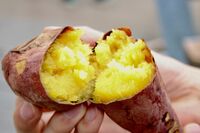 スーパーの“あの”の香りはアロマ説を追ってわかった「焼きいも」の素晴らしさ!海外進出も成功、おでん・…