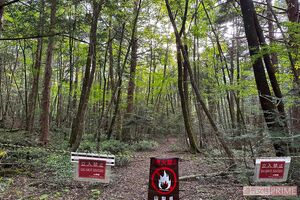 すべての遊歩道を歩けるわけではない。この先は立ち入り禁止だ