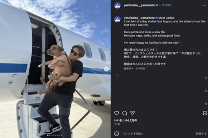 世界がベタ惚れしているドジャース・山本由伸の愛犬カルロス（公式インスラグラムより）