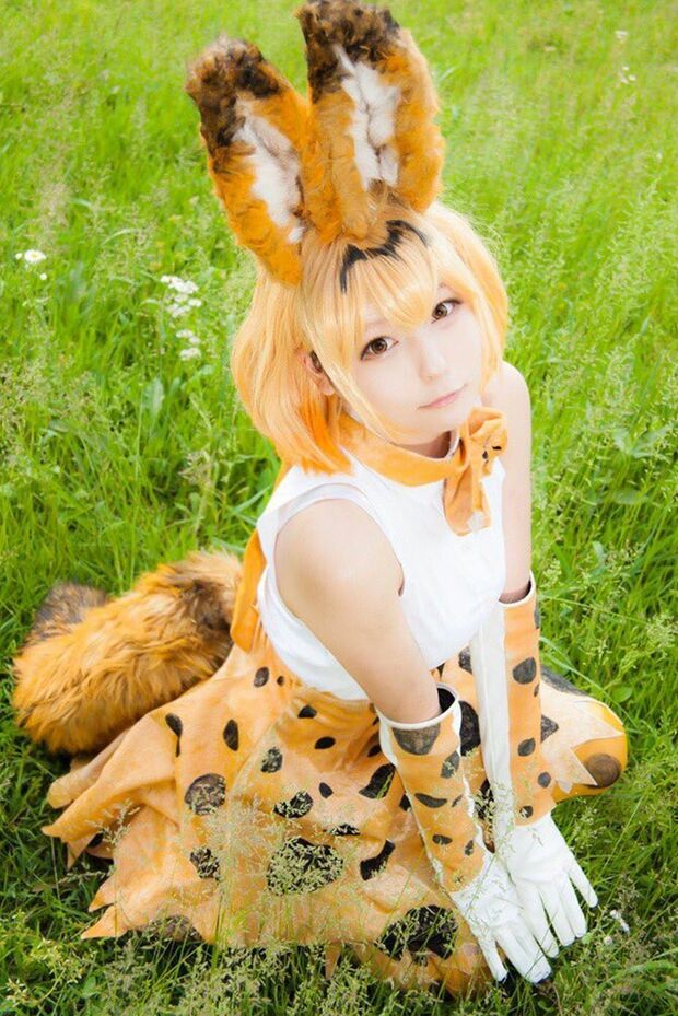 『けものフレンズ』のサーバル