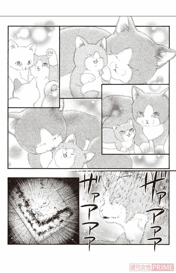 『ペット共生型マンション物語　ハイツ祐天寺へようこそ』（漫画 柏屋コッコ／原作 小林のえ）28ページより