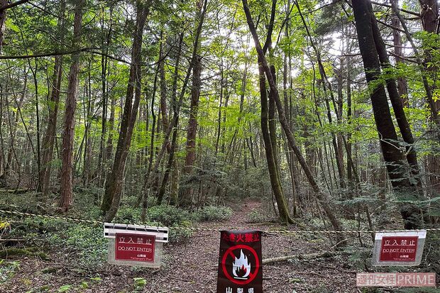 すべての遊歩道を歩けるわけではない。この先は立ち入り禁止だ