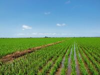 シニアも若者も都会から田舎へ！　空前の地方移住ブームで希望地1位はどこ？