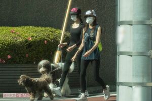 6月初旬、犬の散歩をさせている工藤静香とKoki,
