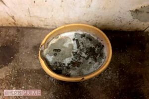 水皿は干上がりカビが生えていた