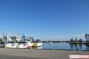 片貝漁港では釣り人が左脚を発見し