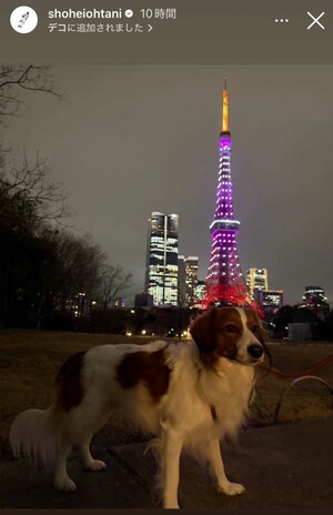 東京タワーをバックにポーズを決めたデコピン（大谷翔平のインスタグラムより）