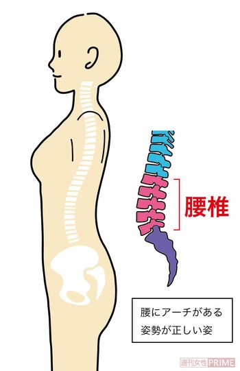 きれいなカーブが重要！※画像はイメージです