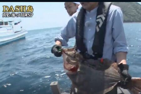 鉄腕DASHで釣れたヒラメが「不自然に大きすぎる」と話題に（TVerより）