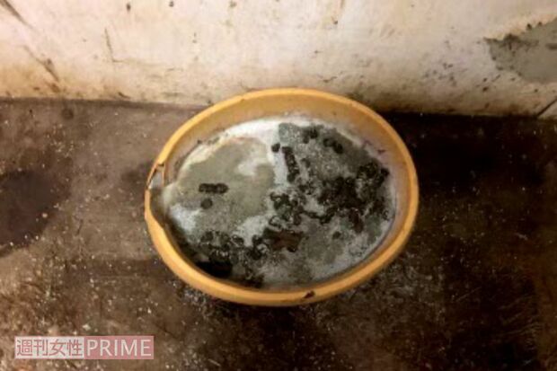 水皿は干上がりカビが生えていた