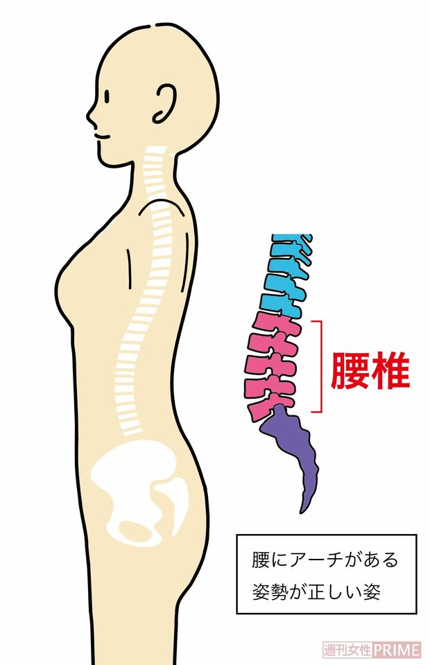 きれいなカーブが重要！※画像はイメージです