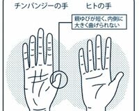 認知症対策にも 脳を若返らせる効果のある親ゆび体操