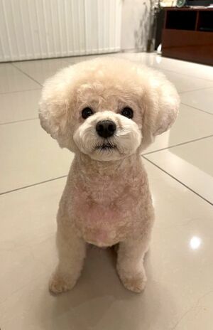 福くん、順調に回復中です!　撮影／加藤綾菜